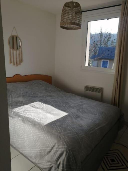 Appartement Calme Et Propre Le Goelia Saint-Geniez-dʼOlt エクステリア 写真